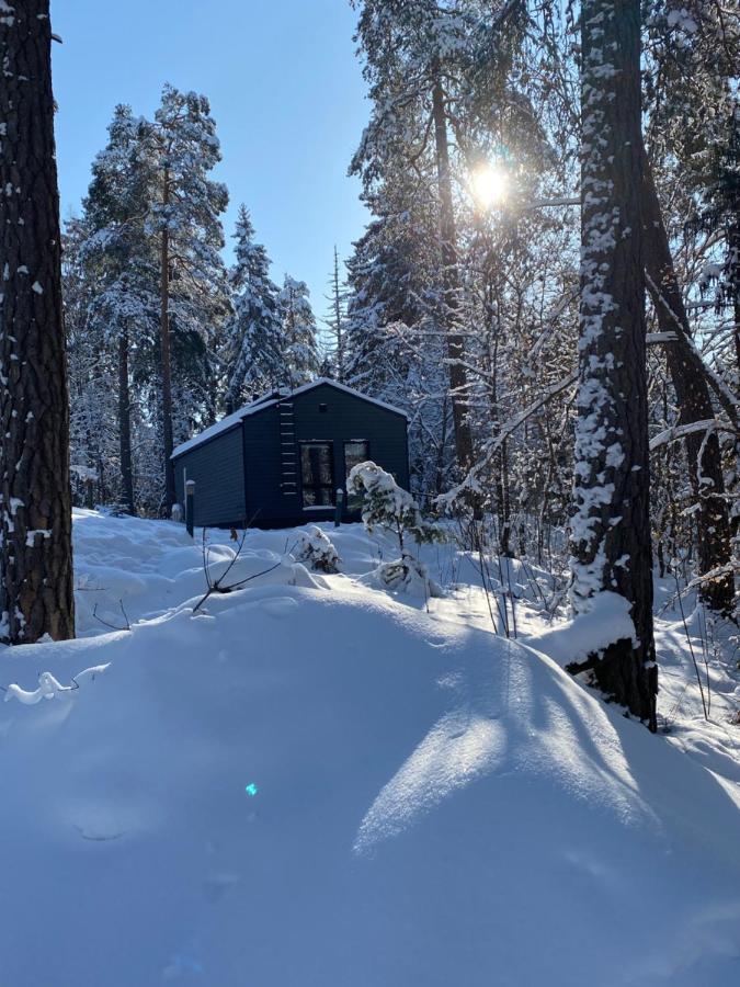 Tammikon Tupa Villa Туусула Екстериор снимка